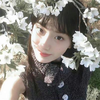 狂野非洲